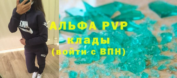 дживик Касимов