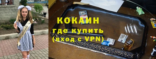 дживик Касимов