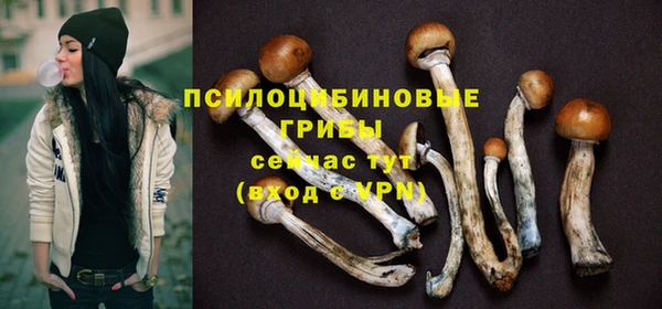 дживик Касимов