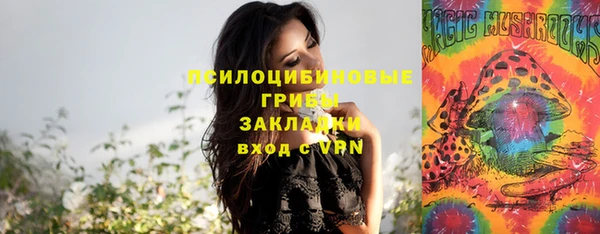 дживик Касимов