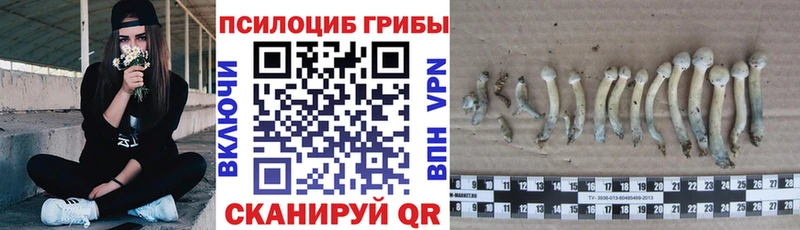 Псилоцибиновые грибы мухоморы  Купить где  Ирбит 
